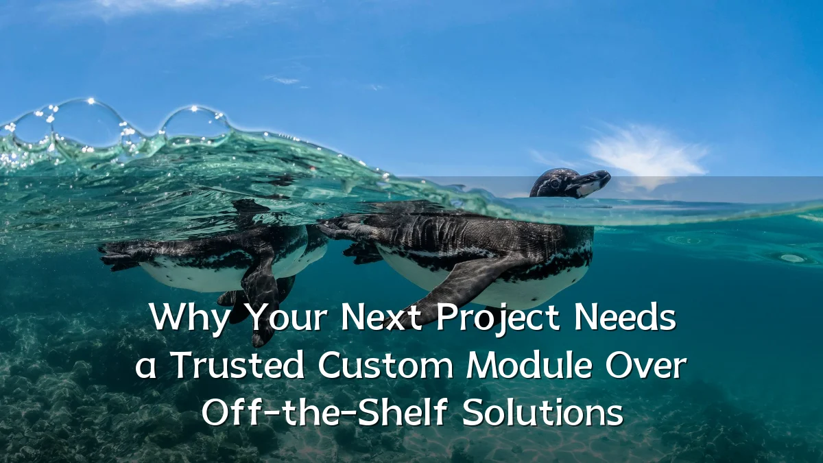 Why Your Next Project Needs a Trusted Custom Module Over Off-the-Shelf Solutions
