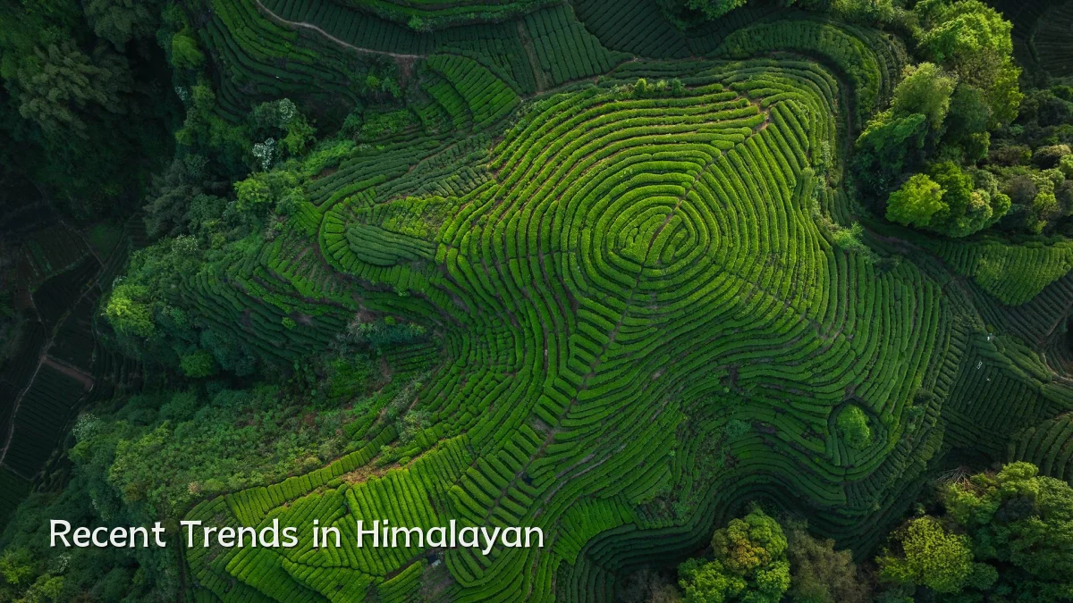 Recent Trends in Himalayan