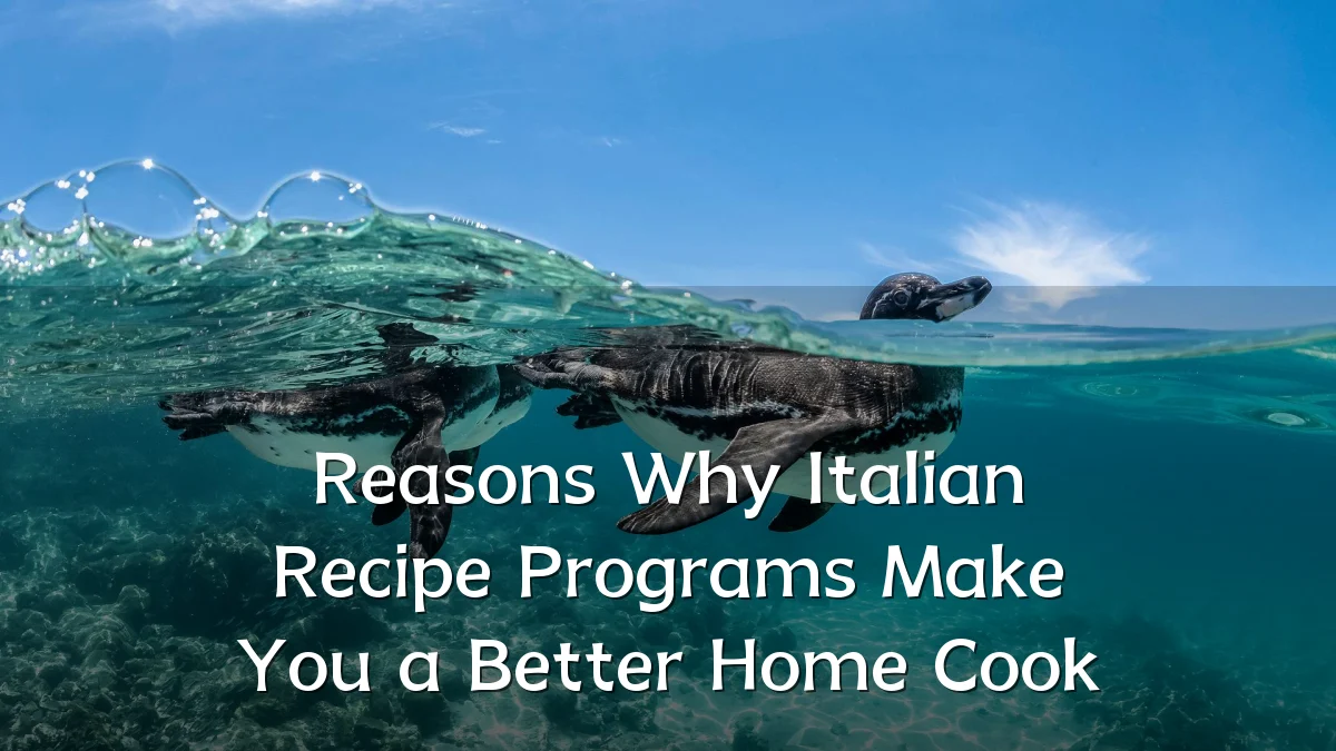 Reasons Why Italian Recipe Programs Make You a Better Home Cook