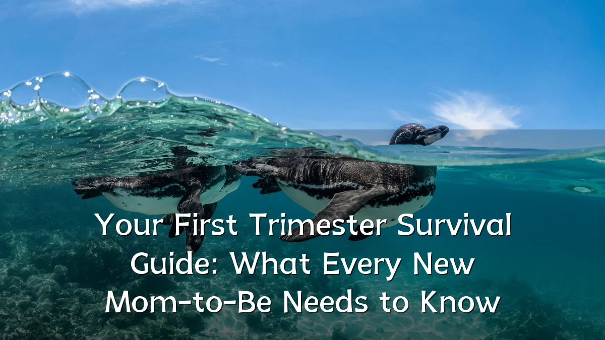 Your First Trimester Survival Guide: What Every New Mom-to-Be Needs to Know
