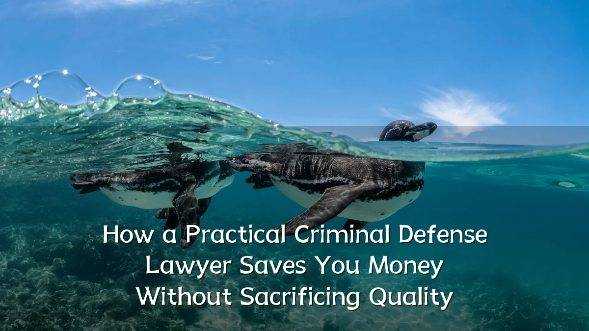 How a Practical Criminal Defense Lawyer Saves You Money Without Sacrificing Quality