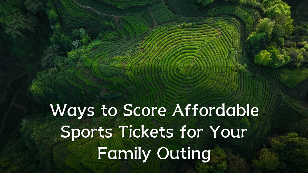 Ways to Score Affordable Sports Tickets for Your Family Outing