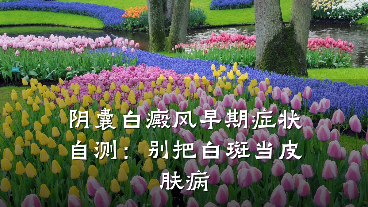 阴囊白癜风早期症状自测：别把白斑当皮肤病