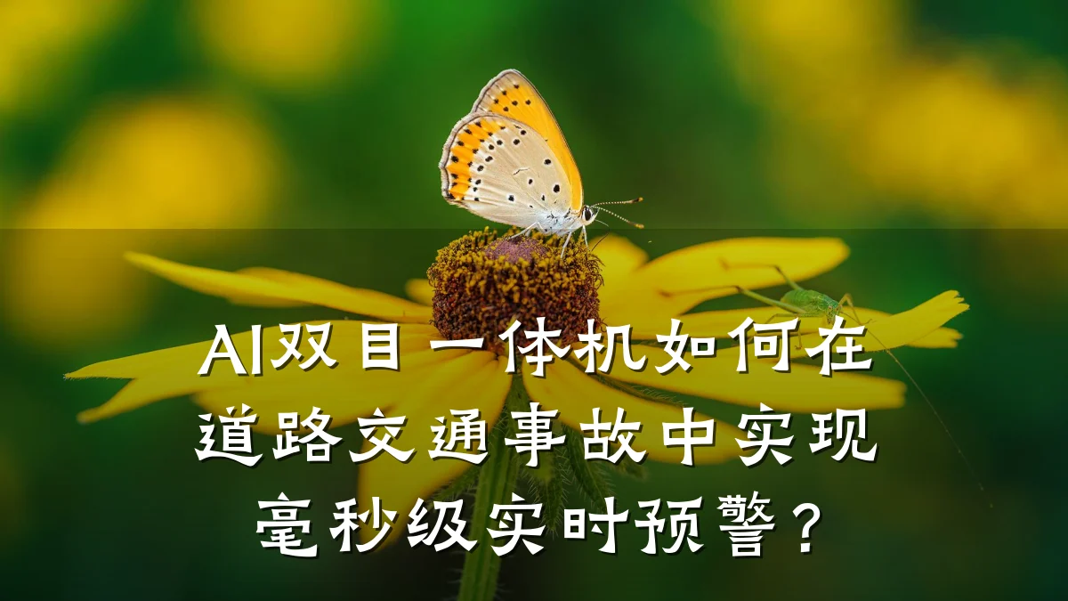 AI双目一体机如何在道路交通事故中实现毫秒级实时预警？