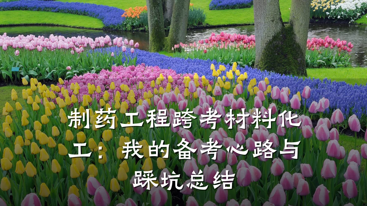 制药工程跨考材料化工:我的备考心路与踩坑总结
