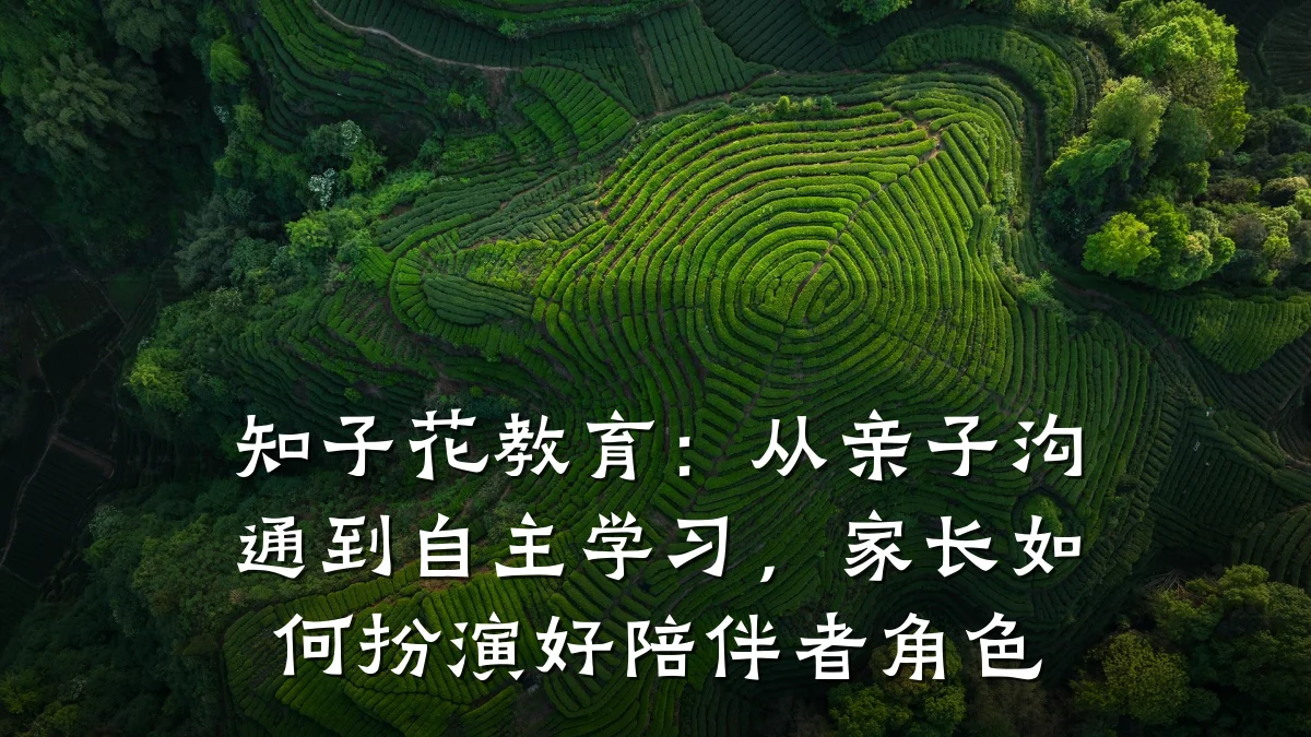 知子花教育：从亲子沟通到自主学习，家长如何扮演好陪伴者角色